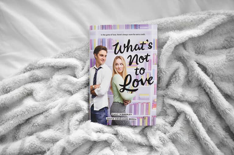 What’s Not to Love by Emily Wibberley & Austin Siegemund-Broka