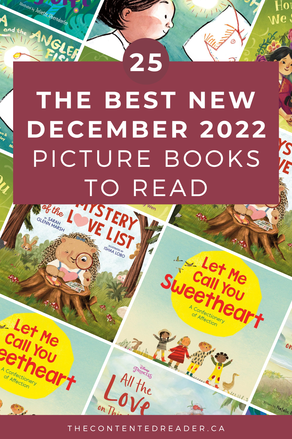 25 New Picture Books To Read In December 2022