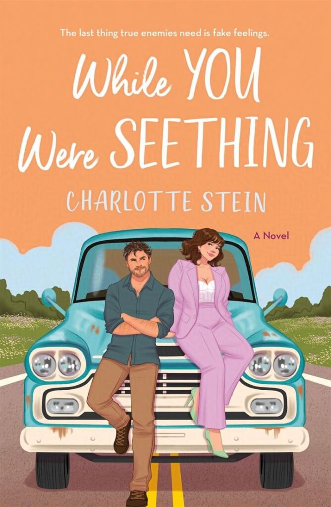 While You Were Seething by Charlotte Stein Book Cover 
