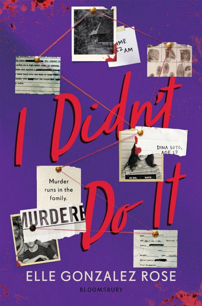 I Didn't Do It by Elle Gonzalez Rose Book Cover