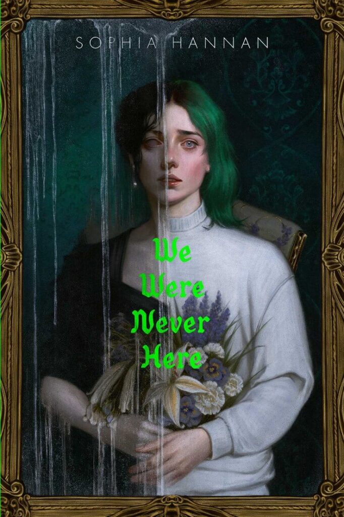 We Were Never Here by Sophia Hannan Book Cover